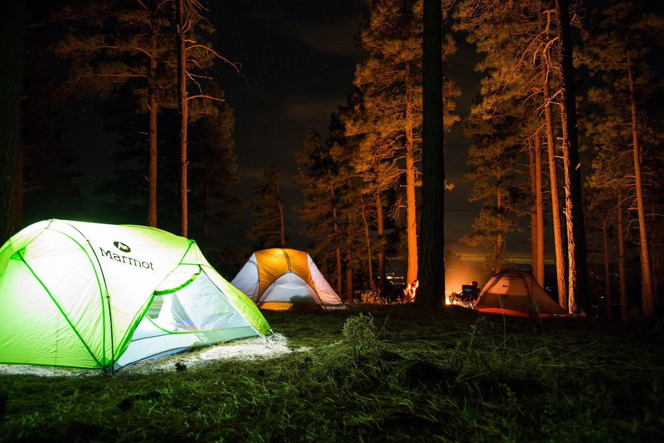 Tents and campfire in a forest at night.